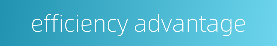 efficiency advantage的同义词