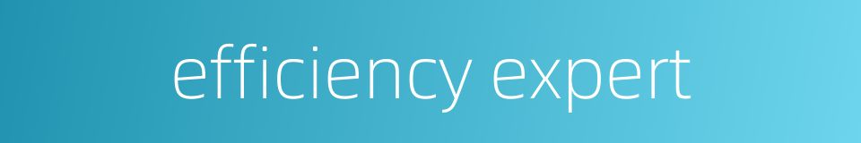 efficiency expert的同义词