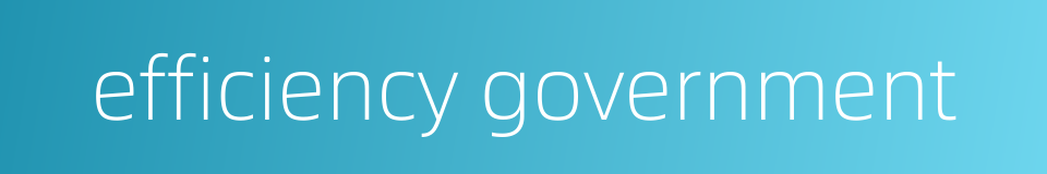 efficiency government的同义词