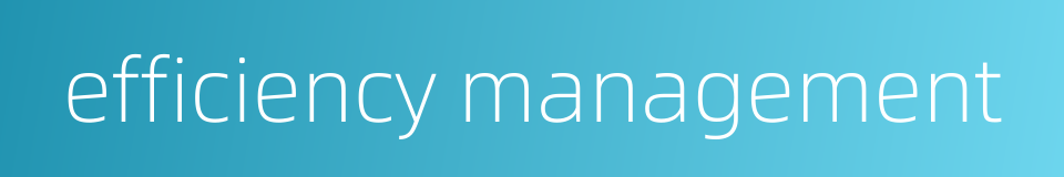 efficiency management的同义词