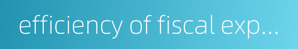 efficiency of fiscal expenditure的同义词