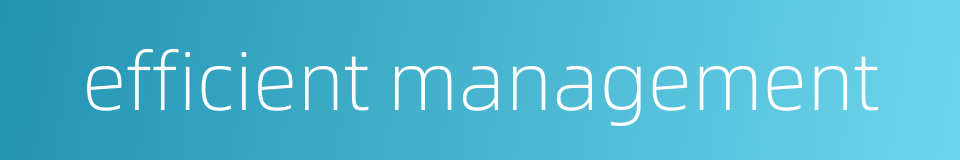 efficient management的同义词