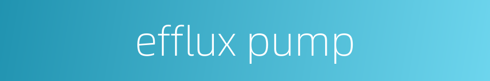efflux pump的同义词