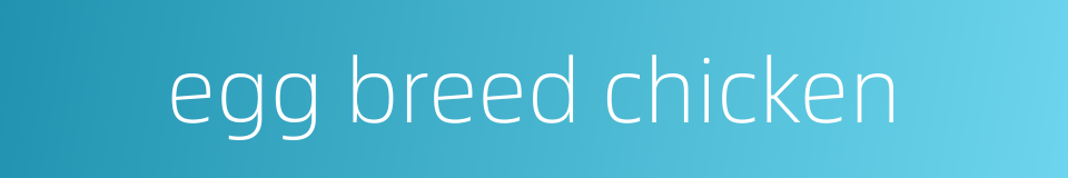 egg breed chicken的同义词