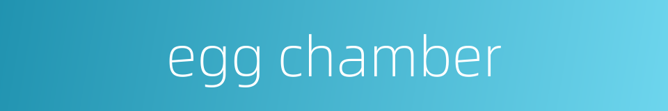 egg chamber的同义词
