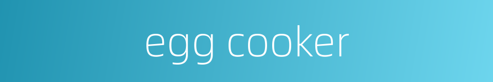 egg cooker的同义词