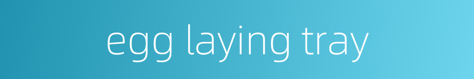 egg laying tray的同义词
