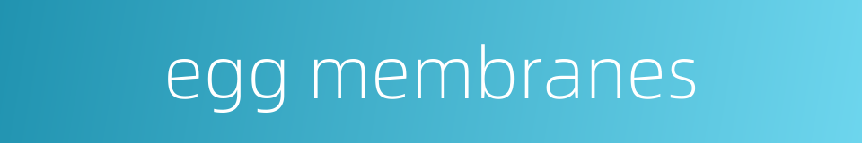 egg membranes的同义词