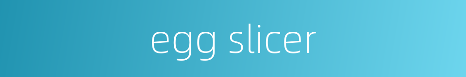 egg slicer的同义词