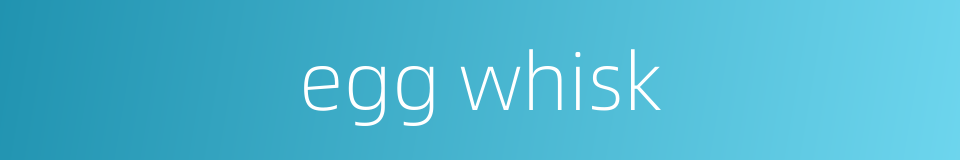 egg whisk的同义词