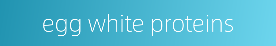 egg white proteins的同义词
