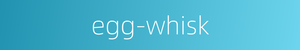 egg-whisk的同义词