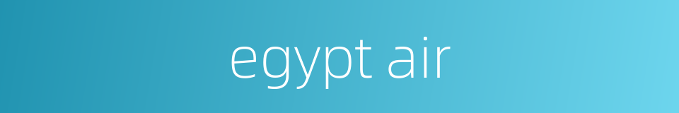 egypt air的同义词