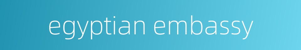 egyptian embassy的同义词