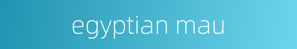 egyptian mau的同义词