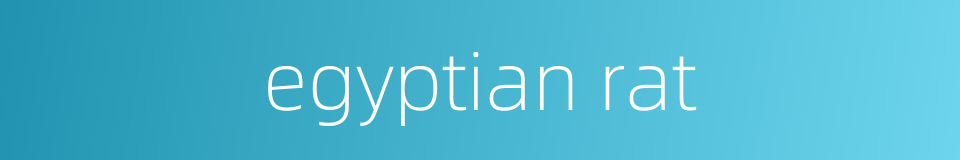 egyptian rat的同义词