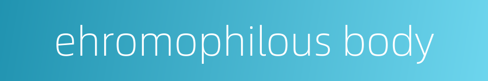 ehromophilous body的同义词