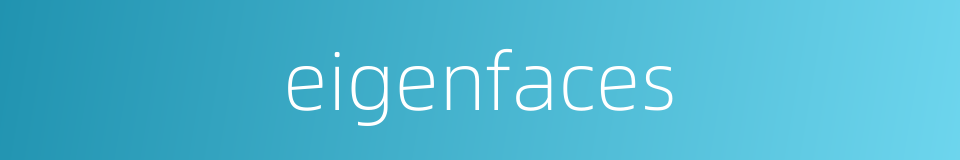 eigenfaces的同义词