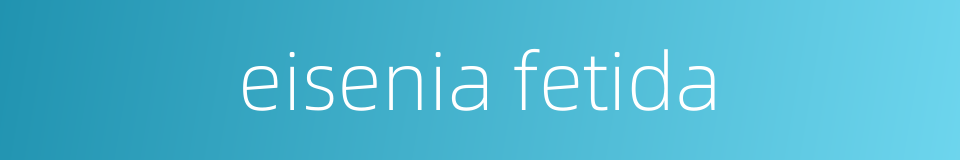eisenia fetida的同义词
