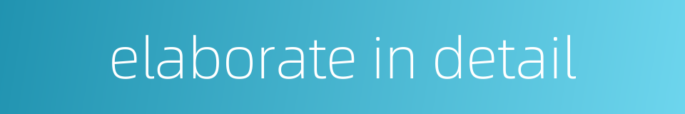elaborate in detail的同义词