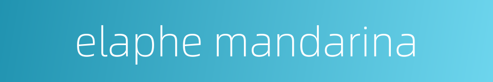 elaphe mandarina的同义词