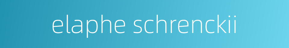 elaphe schrenckii的同义词