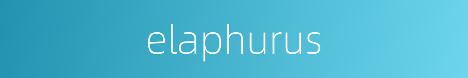elaphurus的同义词