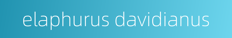 elaphurus davidianus的同义词