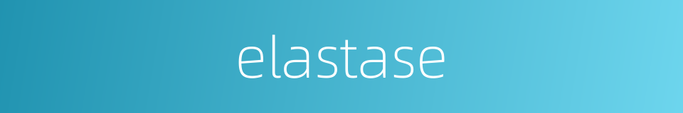 elastase的同义词