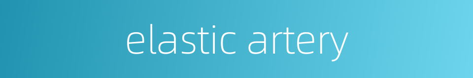 elastic artery的同义词