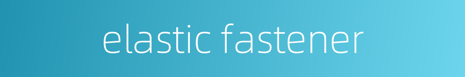 elastic fastener的同义词