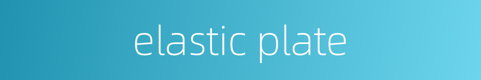 elastic plate的同义词