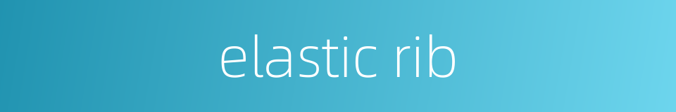 elastic rib的同义词