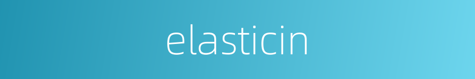 elasticin的同义词
