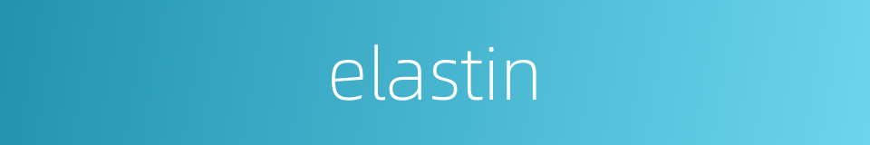 elastin的同义词