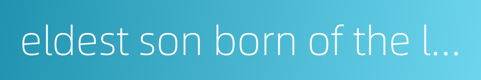 eldest son born of the legal wife of a man的同义词