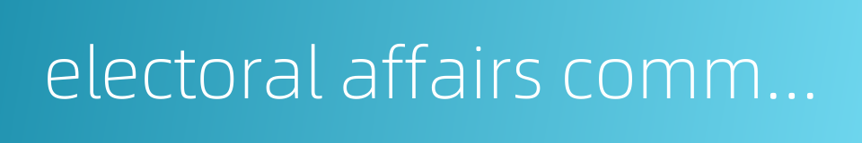 electoral affairs commission的同义词