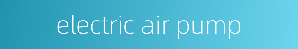electric air pump的同义词