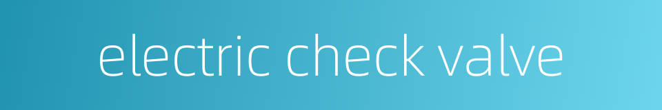 electric check valve的同义词