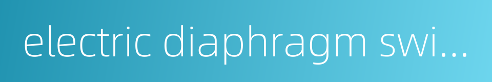 electric diaphragm switch的同义词