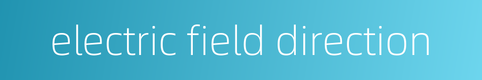 electric field direction的同义词