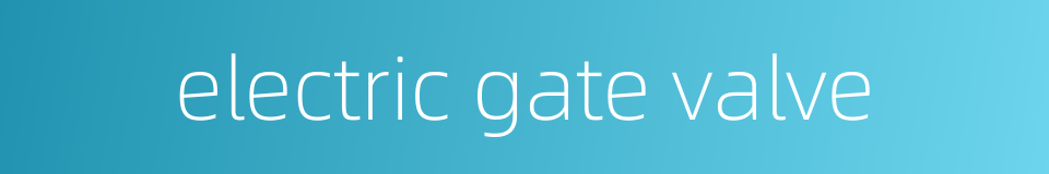electric gate valve的同义词