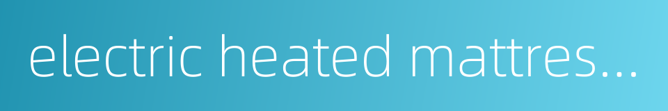 electric heated mattress pad的同义词