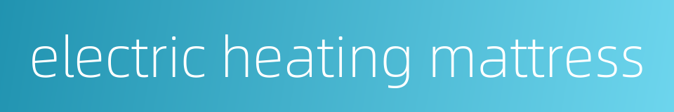 electric heating mattress的同义词