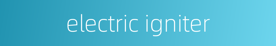 electric igniter的同义词