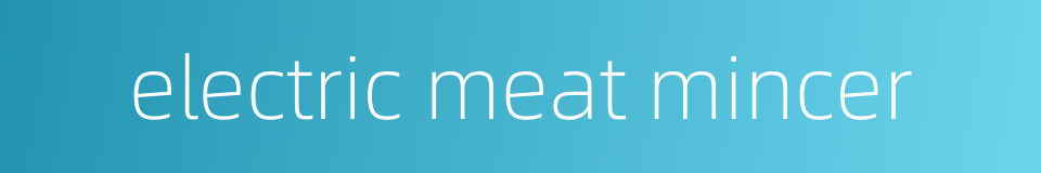 electric meat mincer的同义词