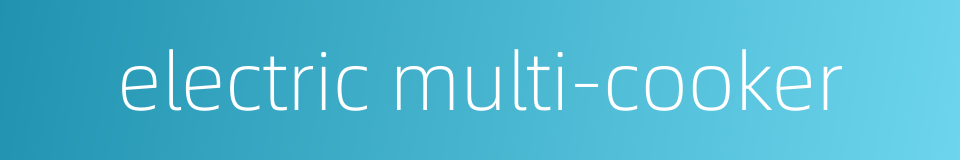 electric multi-cooker的同义词