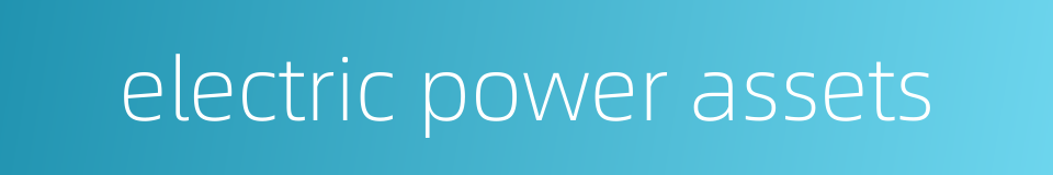 electric power assets的同义词