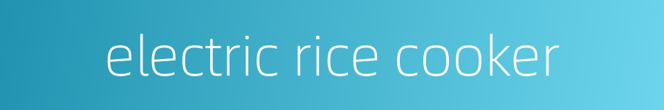 electric rice cooker的同义词