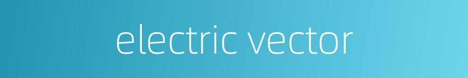 electric vector的同义词